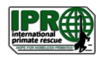 International Primate Rescue logo